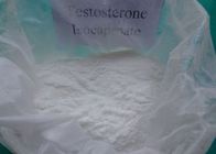 Κίνα Νομική υγιής σκόνη τεστοστερόνης Isocaproate ακατέργαστη χωρίς παρενέργειες 15262-86-9 διανομέας 