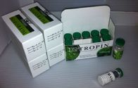 καλύτερος Ορμόνες απώλειας βάρους Igtropin προς πώληση