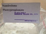 καλύτερος Νομική στεροειδής χρήση 62-90-8 Nandrolone Phenylpropionate Nandrolone μετά από τη χειρουργική επέμβαση προς πώληση