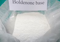 Κίνα Καθαρή ακατέργαστη Boldenone σκόνη Boldenone στεροειδές σύνθετο CAS 846-48-0 98% για Bodybuilder διανομέας 