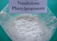 Κίνα Στεροειδής Nandrolone Nandrolone σκόνη 62-90-8 Phenylpropionate Nandrolone διανομέας 